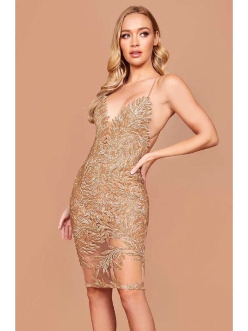 NWT Nadine Merabi  Talia Sequin Mesh Dress